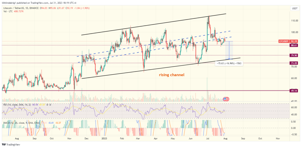 Litecoin (LTC) daily price action chart. Source: TraidngView.com 