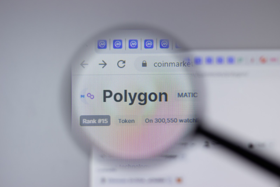 Polygon 2.0 Upgrade Expectations Pumping MATIC and TOADS--Here's Why