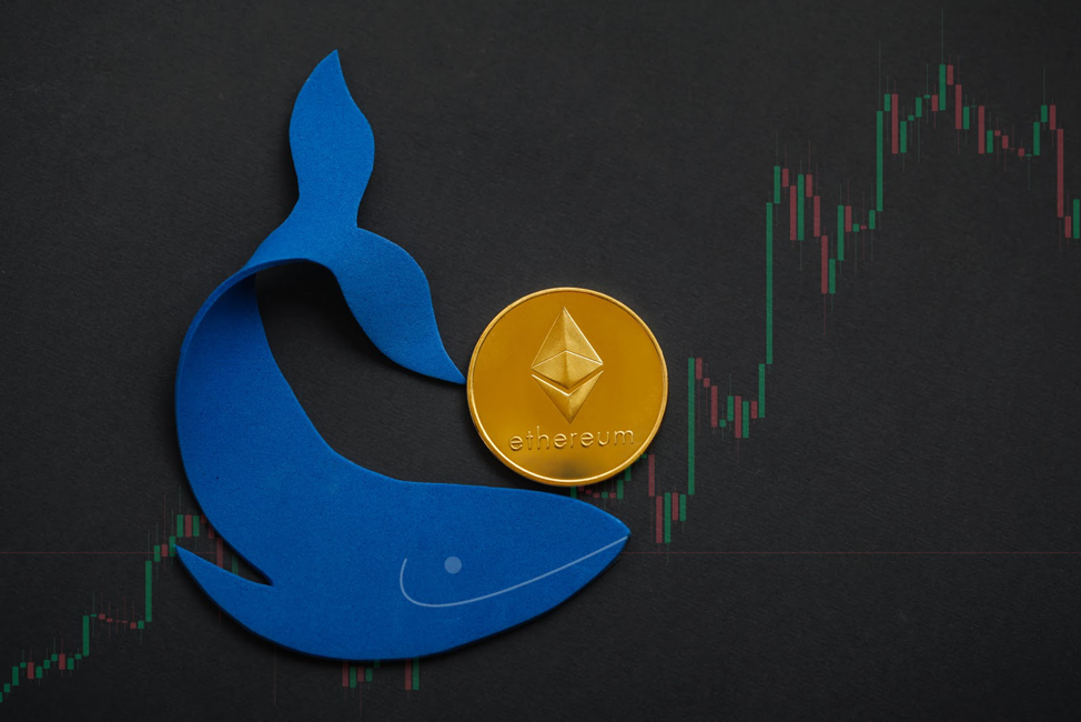 More Investors Backing Ethereum, Will QUBE and ERC-20 Tokens Rip Higher?