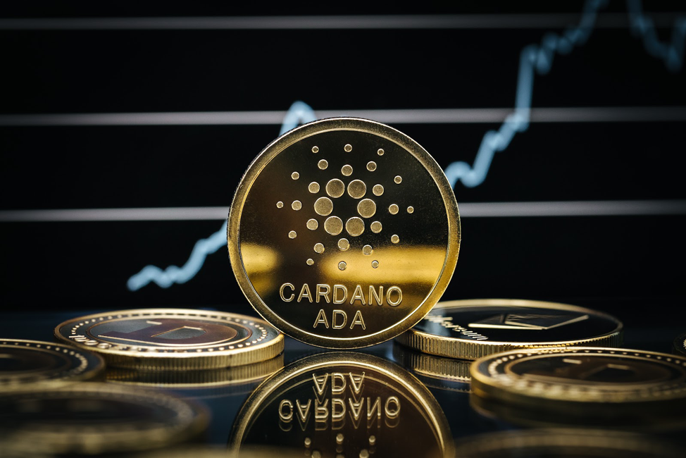 While Cardano (ADA) Recovers, DigiToads (TOADS) Continues to Smash Presale Records with over $6.2 million raised
