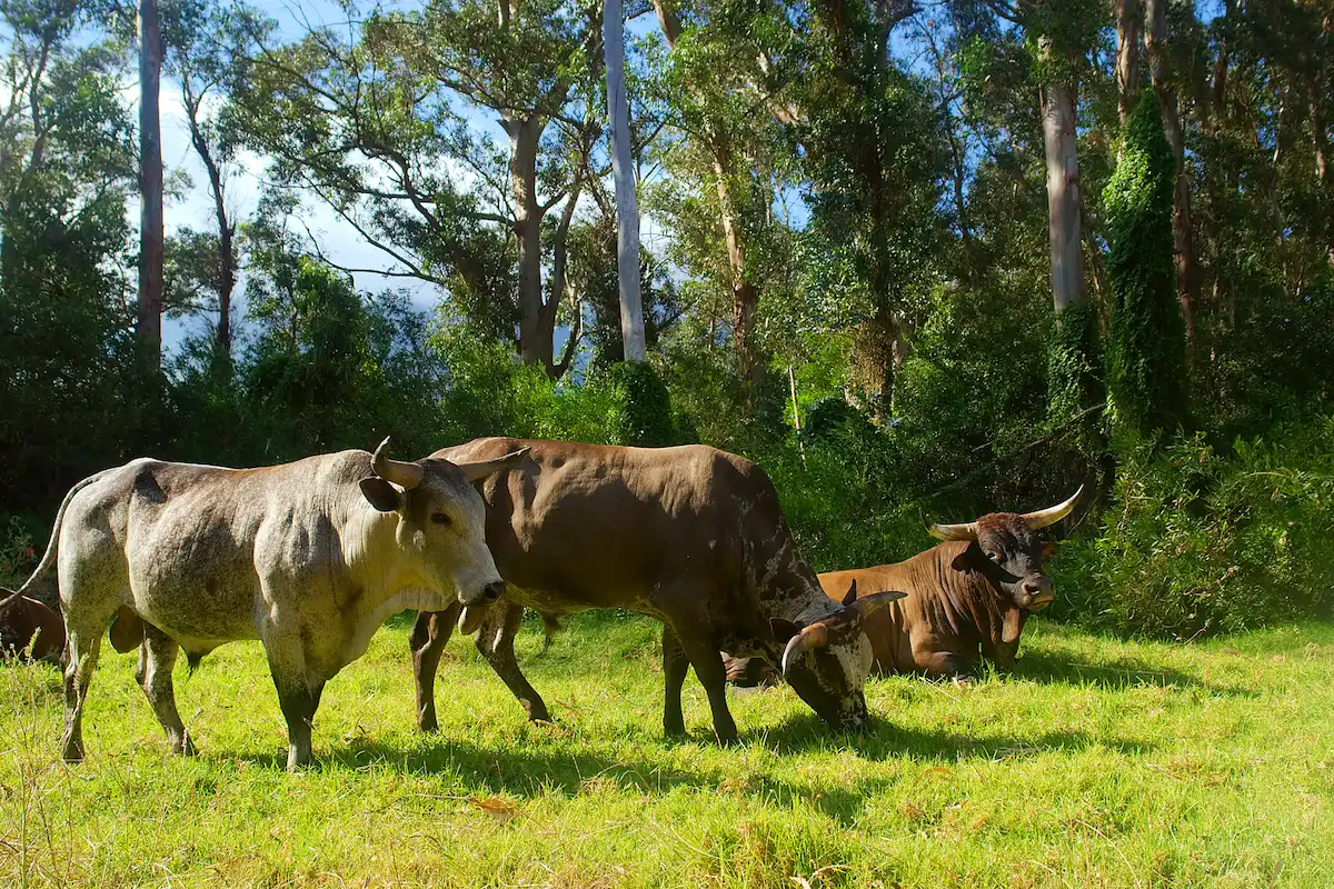 3 Bitcoin On-Chain Indicators Predicting BTC Price Bullish Reversal 3 Bitcoin On-Chain Indicators Predicting BTC Price Bullish Reversal