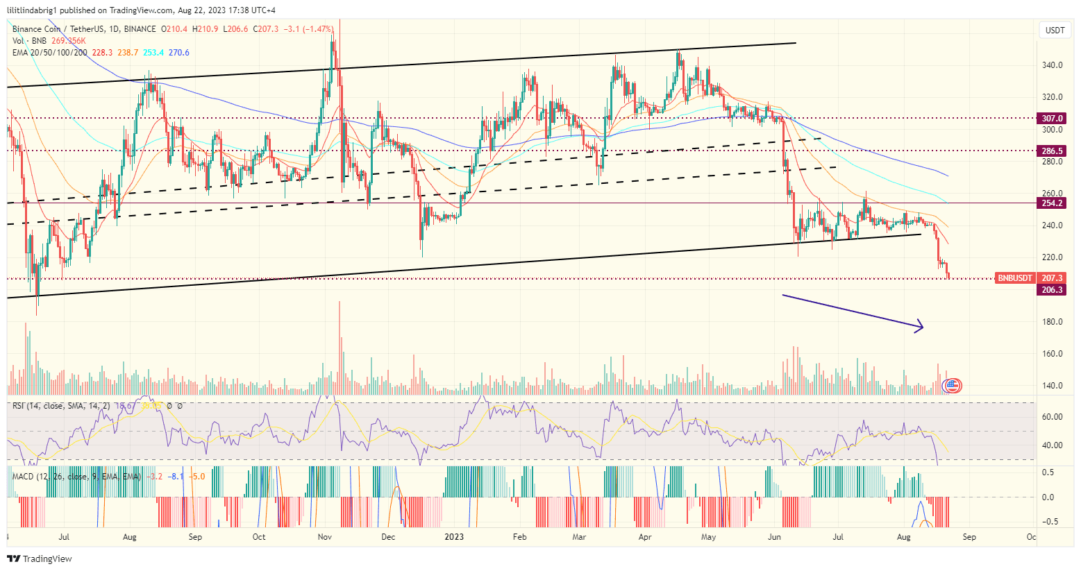 Binance coin (BNB) drops below $210. Source: TradingView.com