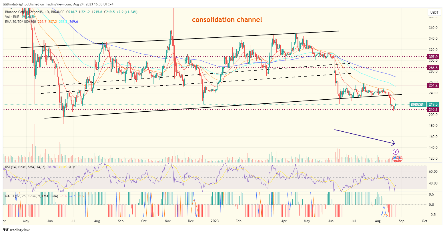 Binance Chain (BNB) daily price action chart. Source: TradingvView.com 