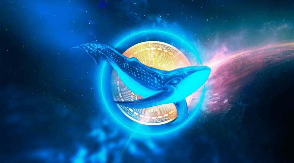 Why This Ethereum Whale Is Moving 10% of His Capital To Bitcoin Spark