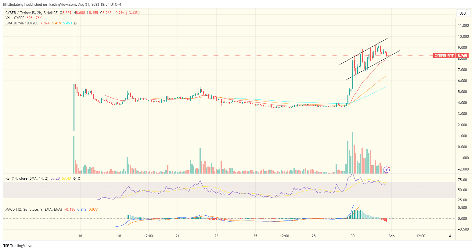 CyberConnect (CYBER) 2-hour price chart. Source TradingView.com 