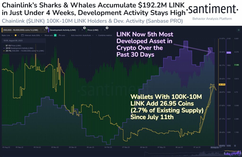 Chainlink sharks and whales accumulate