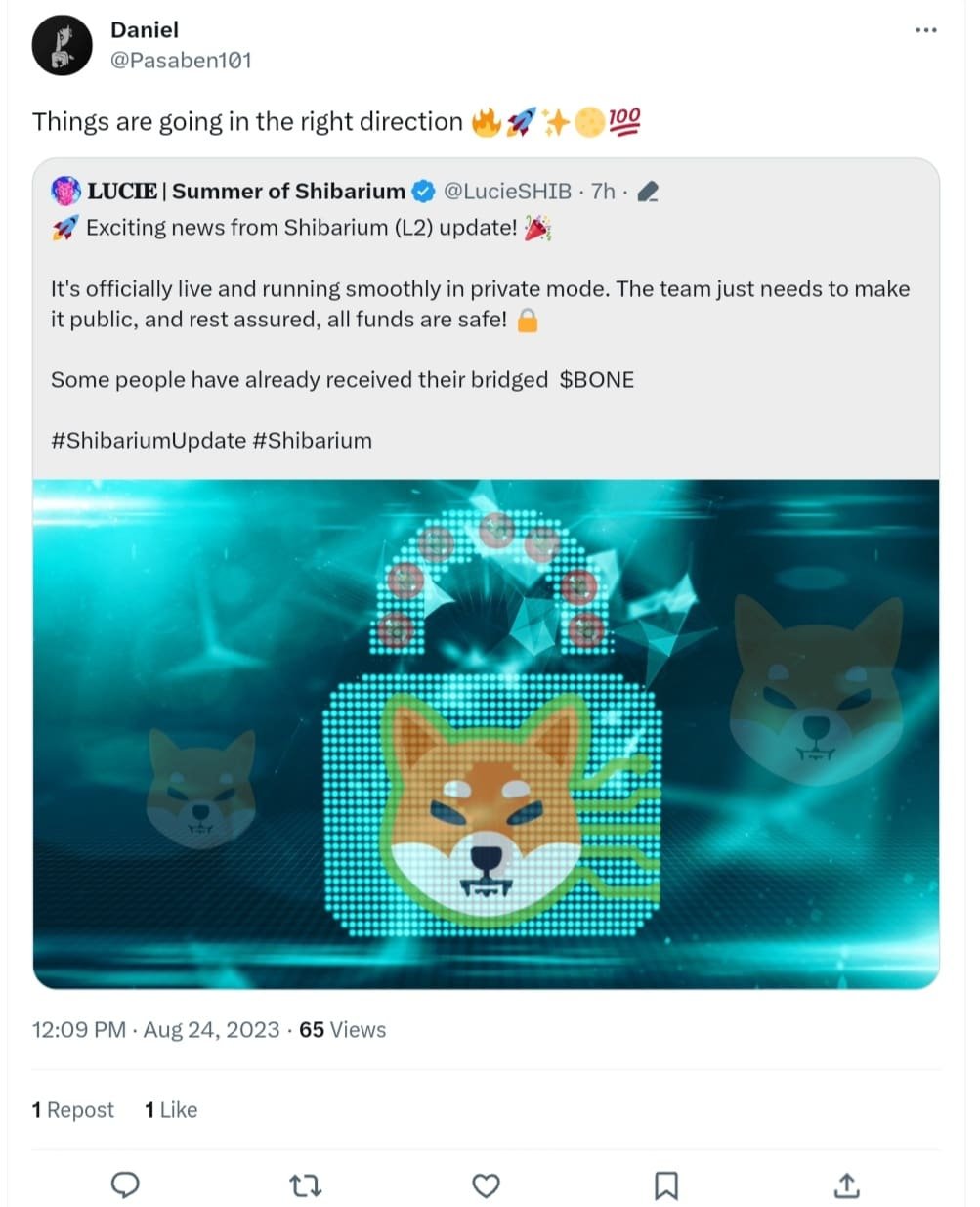 Shib Army Cheers for Shiba Inu Progress on X