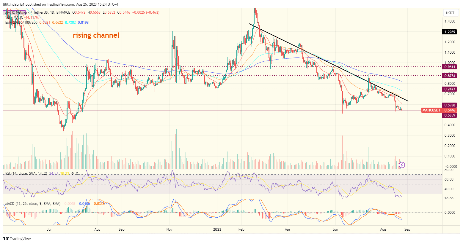 Polygon (MATIC) daily price action chart. Source: TradingView.com 