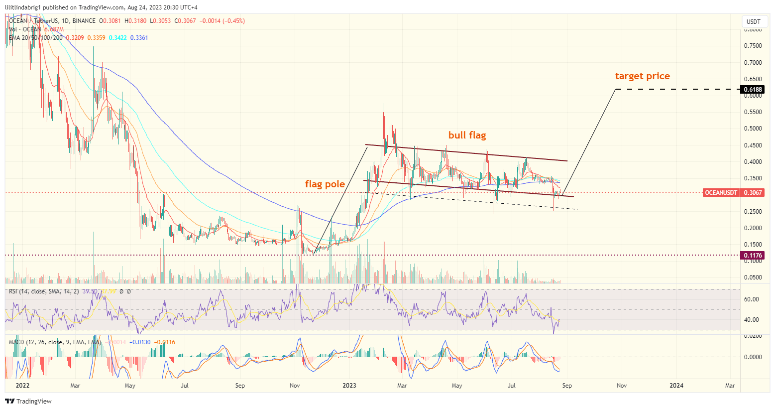 Ocean Protocol (OCEAN) daily price action chart. Source: TradingView.com 