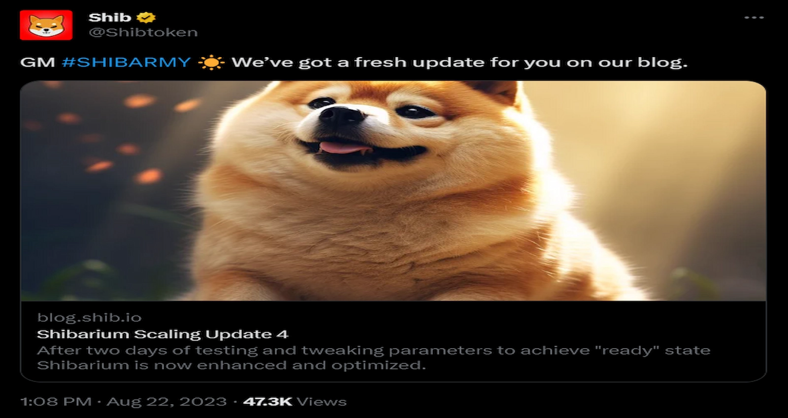 Shiba Inu developers stated that Shibarium was a relaunch