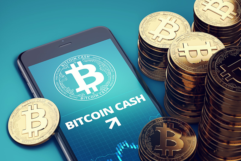 Bitcoin Cash in Red After Weeks of Sharp Gains, TOADS Rising With The Wildly Successful DigiToads Presale