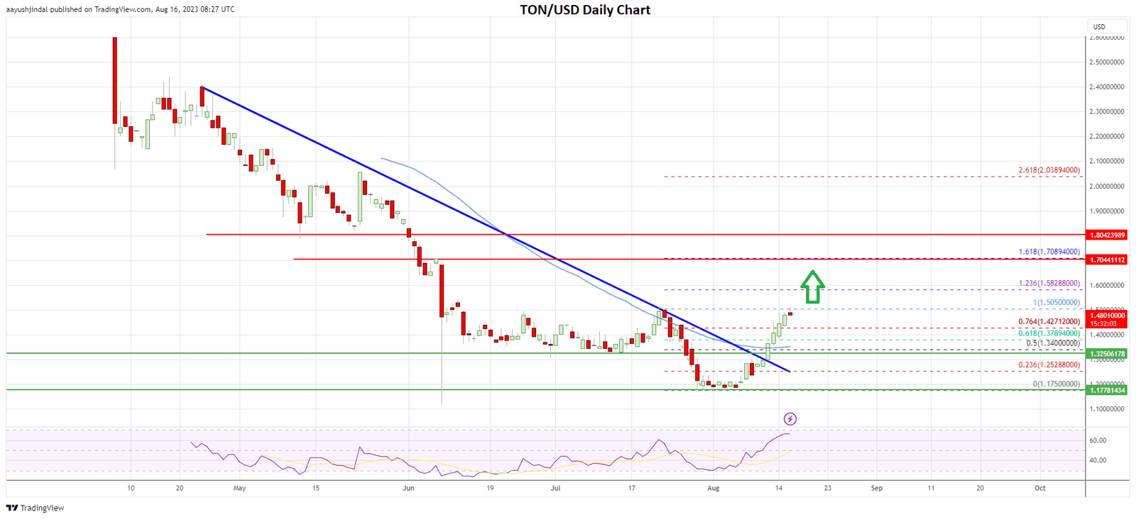 Toncoin price daily price
