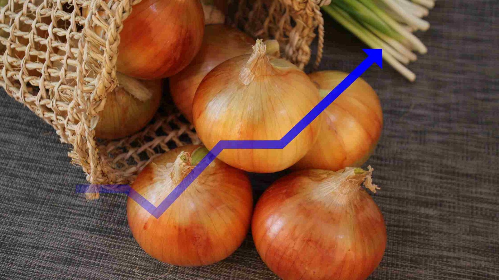 India has imposed a 40% duty on onion exports. The move comes as a measure to curb onion prices in India. Will global prices surge?