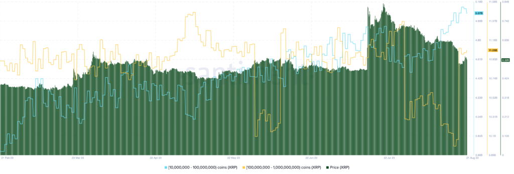 XRP Whales Amass 1.01 Billion Tokens