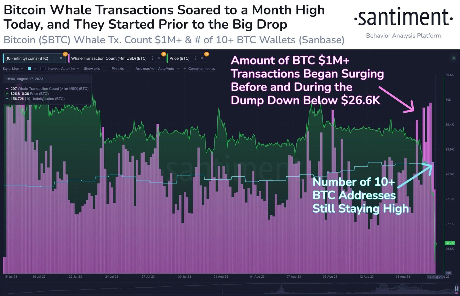 Bitcoin whale transactions spiked. Source: Santiment.net