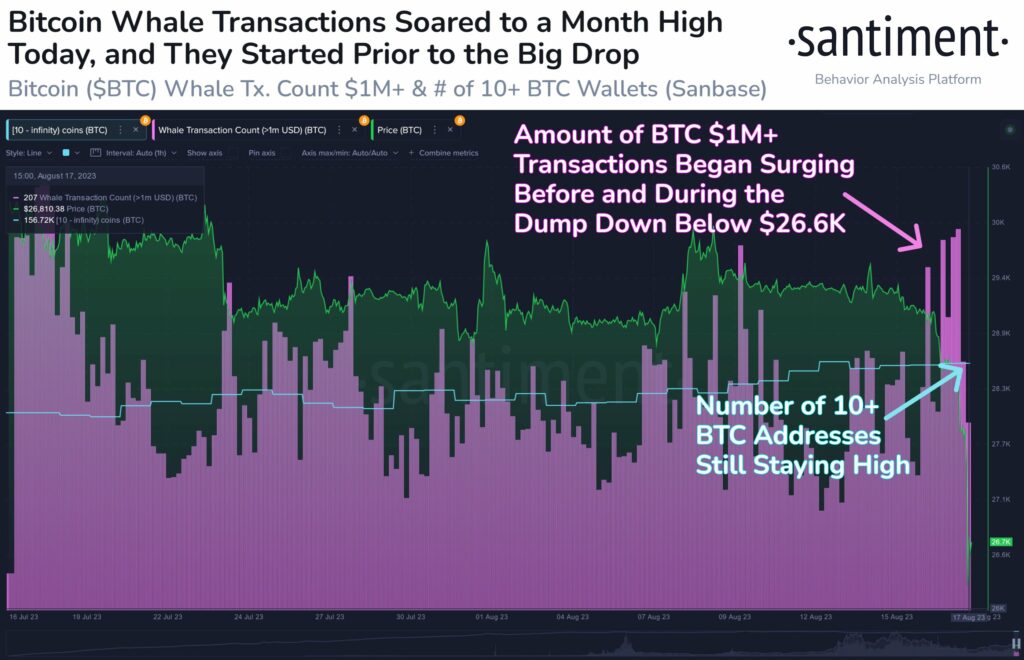 Bitcoin whale transactions spiked. Source: Santiment.net