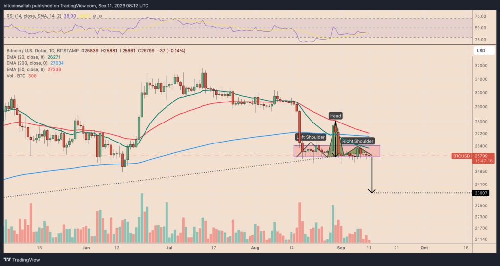 BTC price daily performance chart