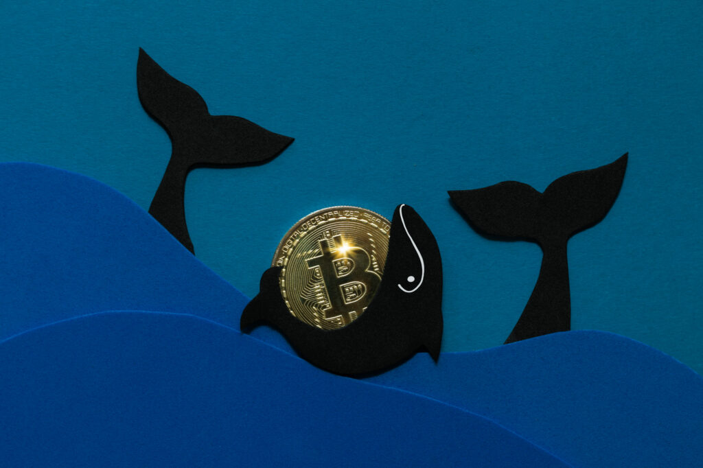 Bitcoin and Tether Whales Enter Accumulation Mode — Big BTC Price Rally Coming?
