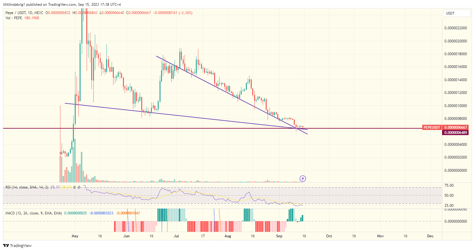 PEPE coin daily chart. Source TradingView.com