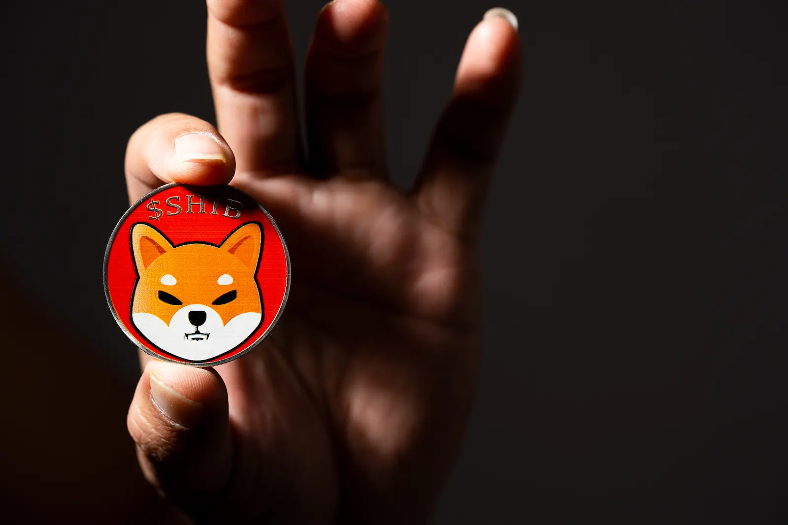 Will Shiba Inu (SHIB) Coin Reach $1?