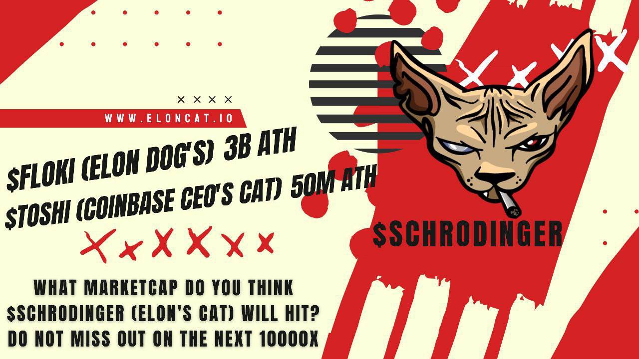 , Schrodinger, The New Memecoin Sensation Based On A Unique Quantum Cat, Announces Successful Launch