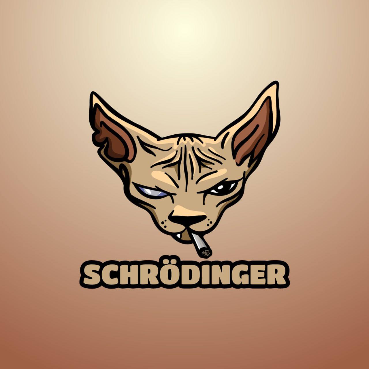 , Schrodinger, The New Memecoin Sensation Based On A Unique Quantum Cat, Announces Successful Launch