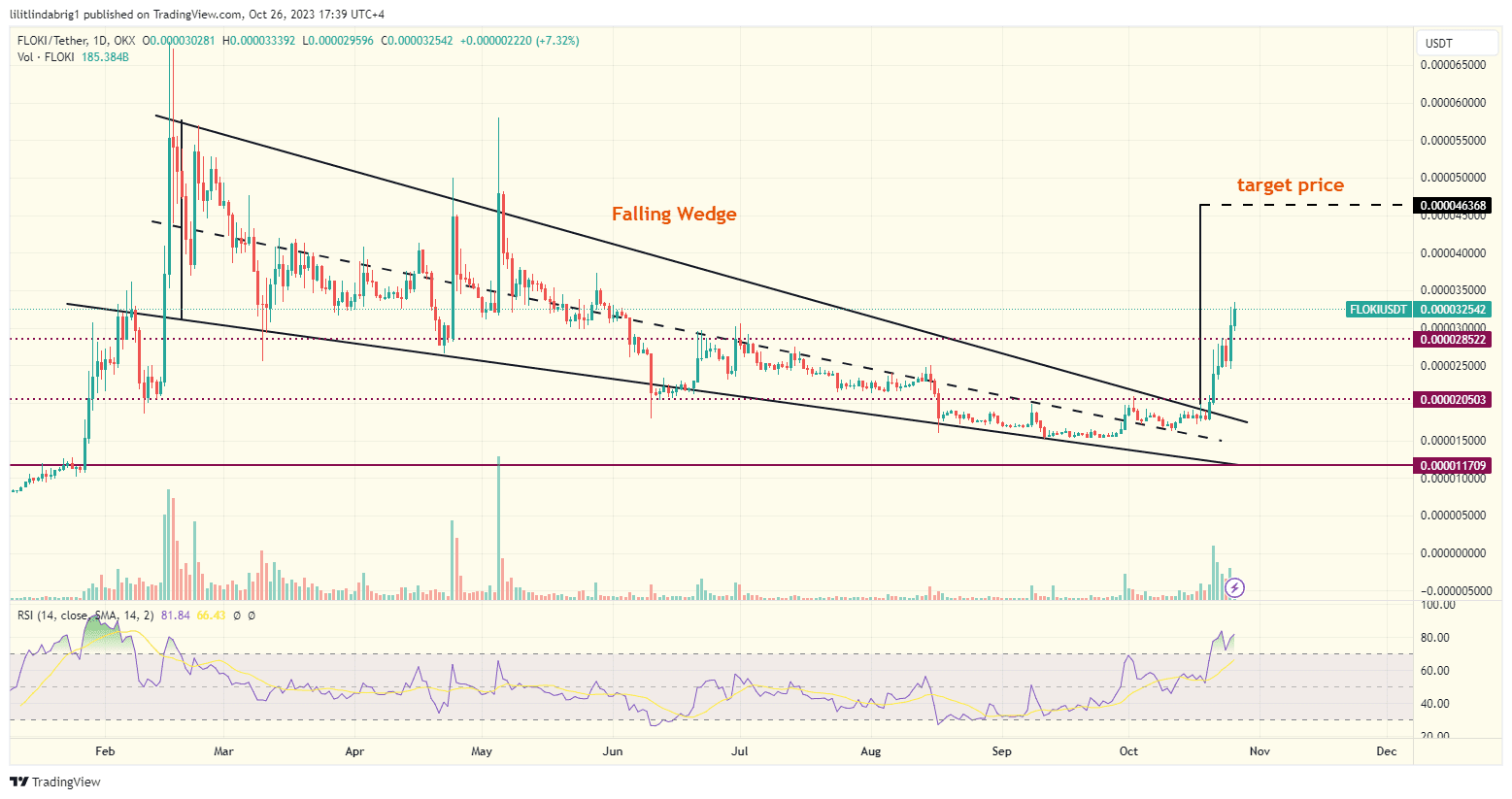 Floki Inu (FLOKI) traders really pumped the gas in October. Source: TradingView.com