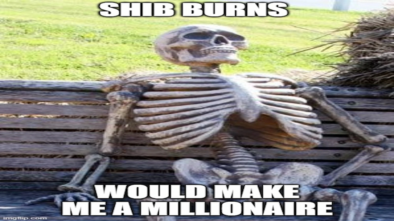 SHIB fan waiting for burns making the token's price $0.1