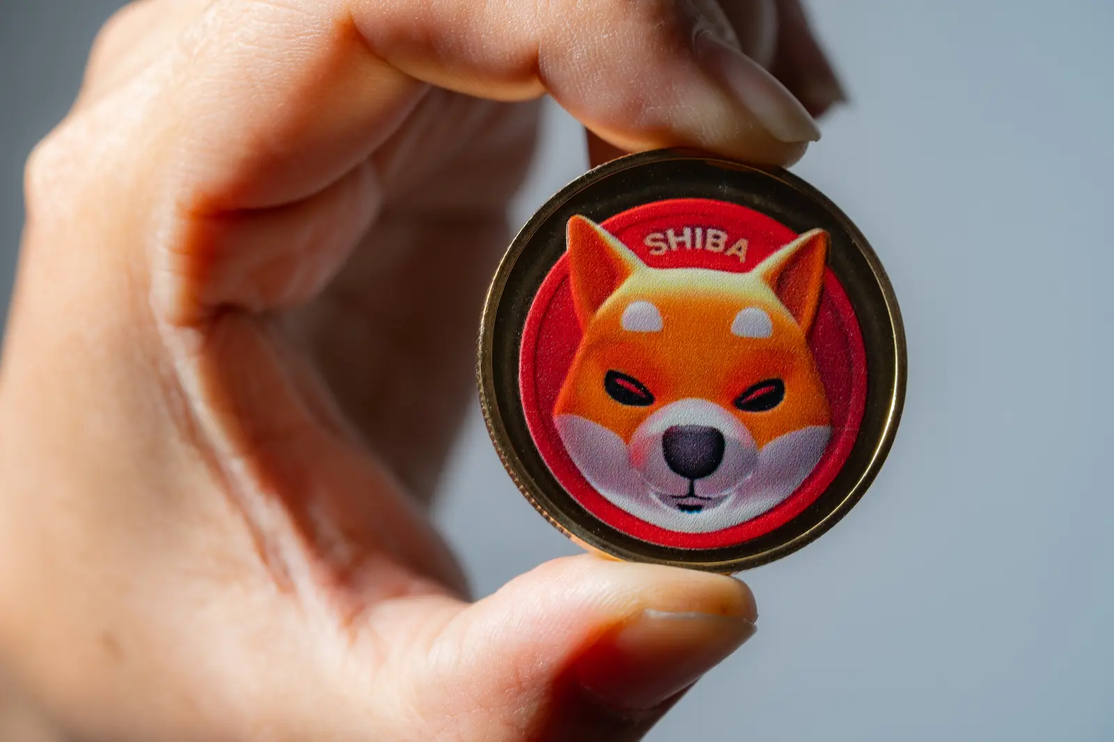 Shiba Inu to PHP Price Philippines