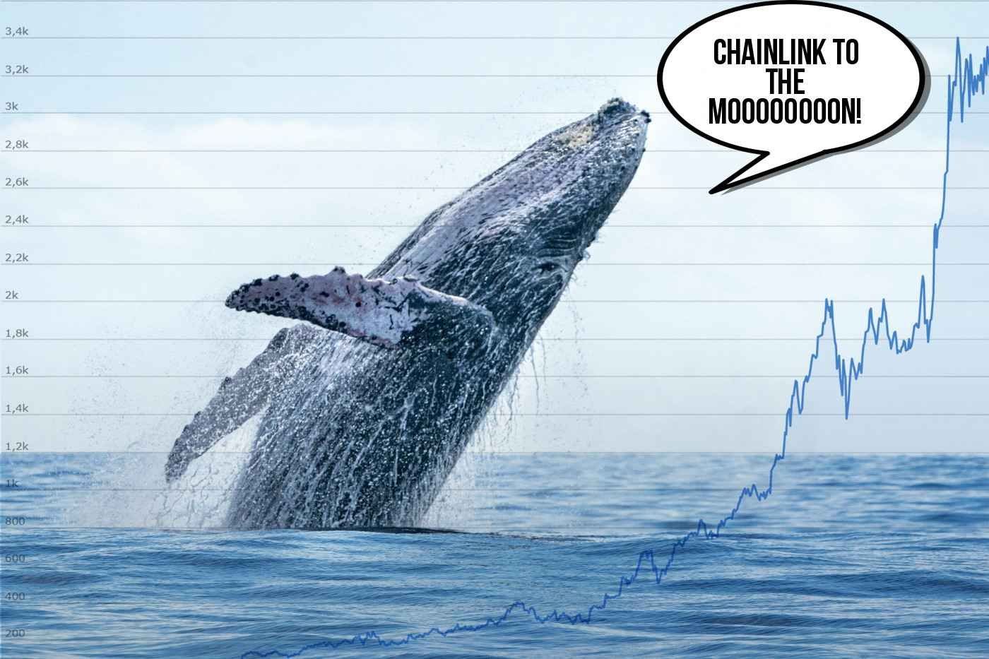 LINK whales buy Chainlink price technical analysis