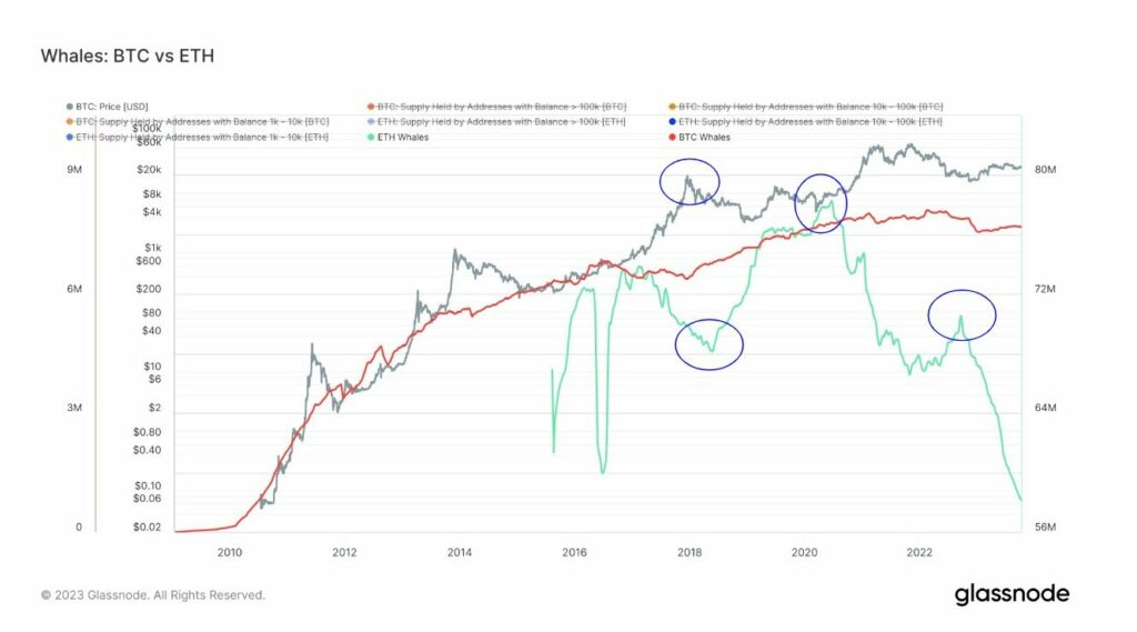 Bitcoin whale accumulation steady, while Ethereum whales unload their stash. Source: Glassnode.com