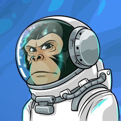 , Introducing $CHIMPZ: The Ultimate Safe Haven for Risk-Takers on Ethereum Blockchain