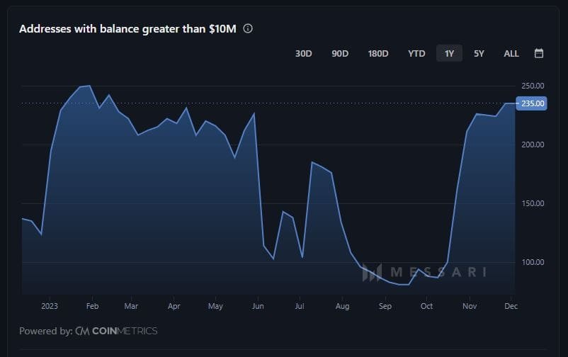 Cardano (ADA) whale number