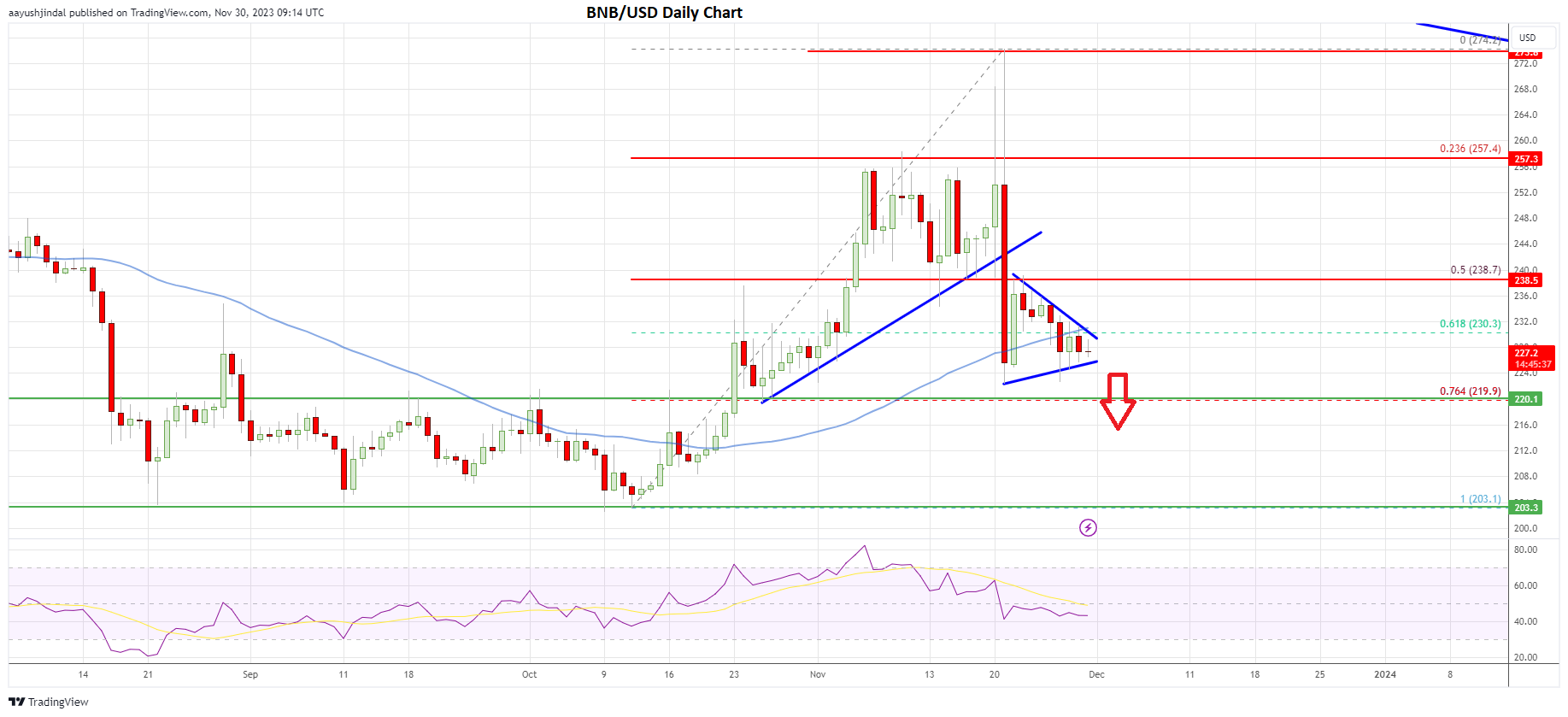 BNB/USD daily chart | Source: TradingView.com