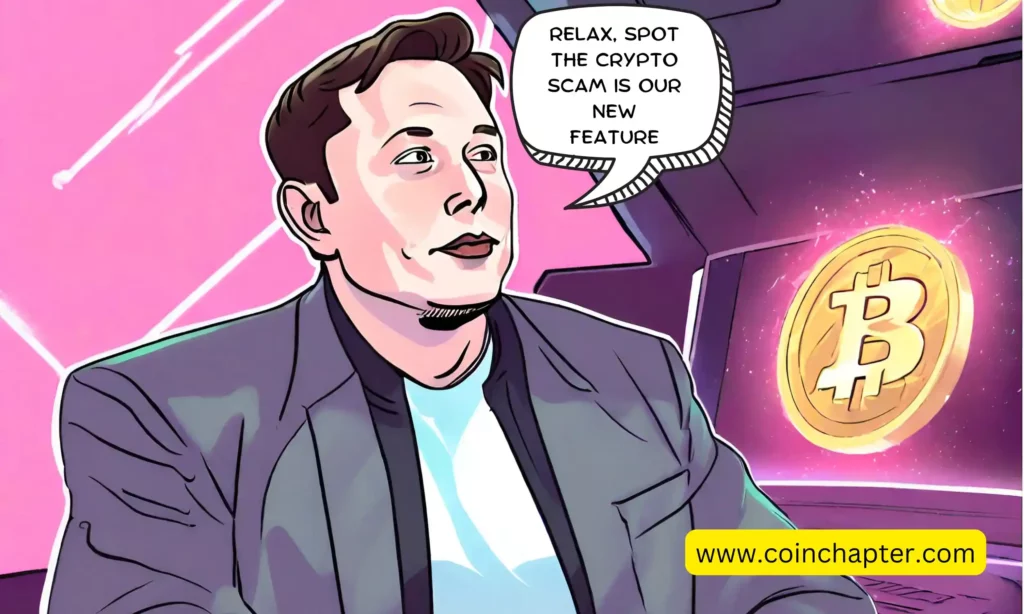 Have Crypto and NFT Scams Increased On X After Elon Musk's Takeover