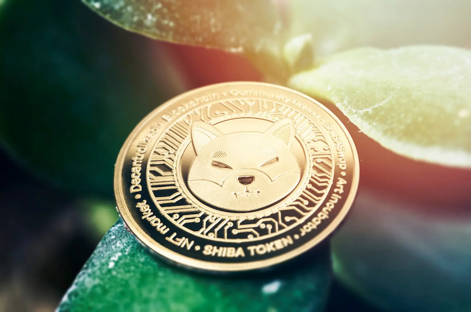Experts Suggest NuggetRush (NUGX) a Superior Choice Over Shiba Inu for Crypto Investors