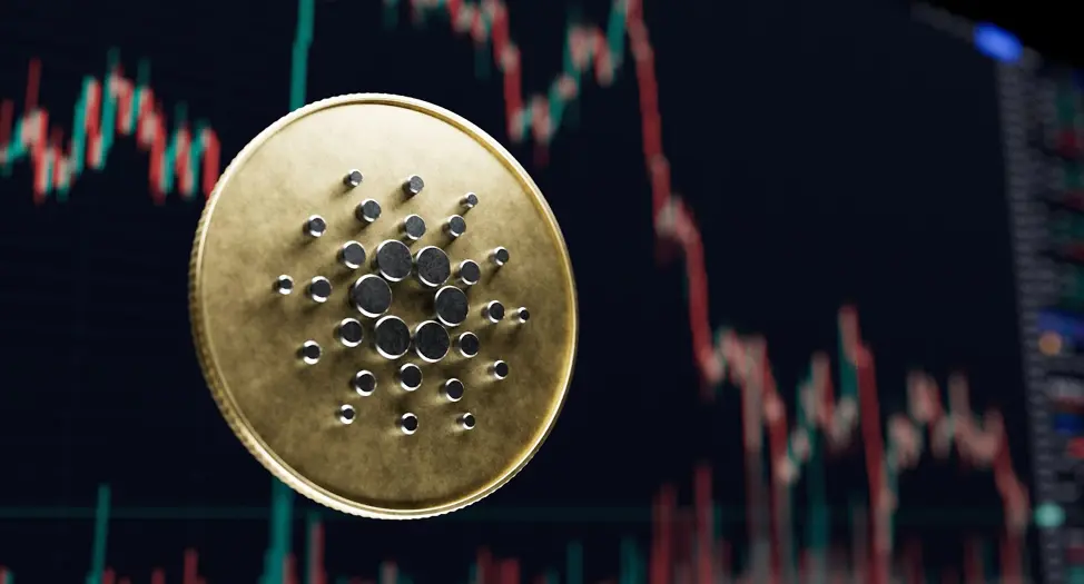 Cardano Whales Flock to Borroe Finance Presale: A Strategic Crypto Move