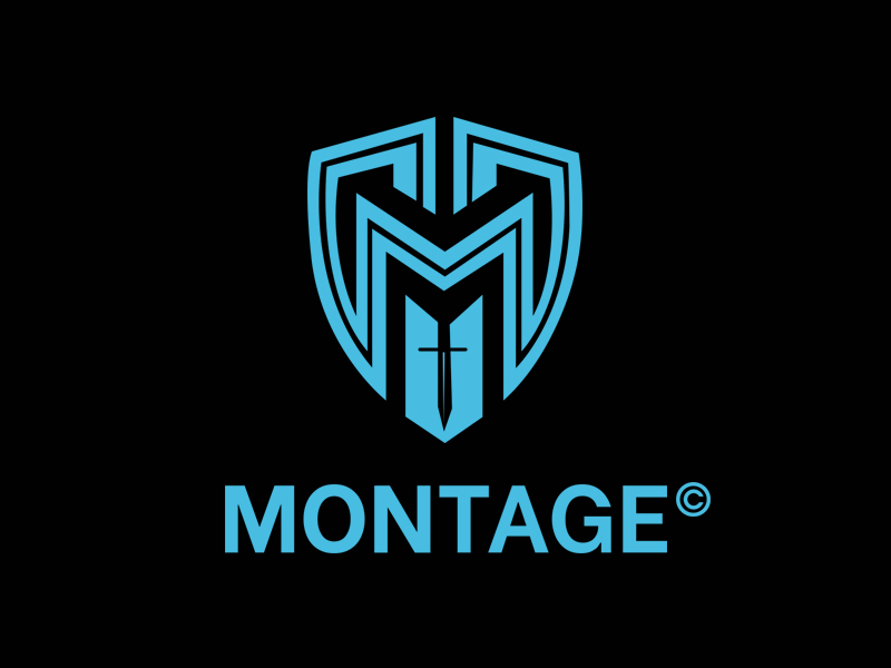 , Montage Token &#8211; Assembling the Future Gold Standard of Crypto