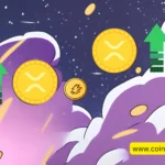 Why is BNB Price Up Today?