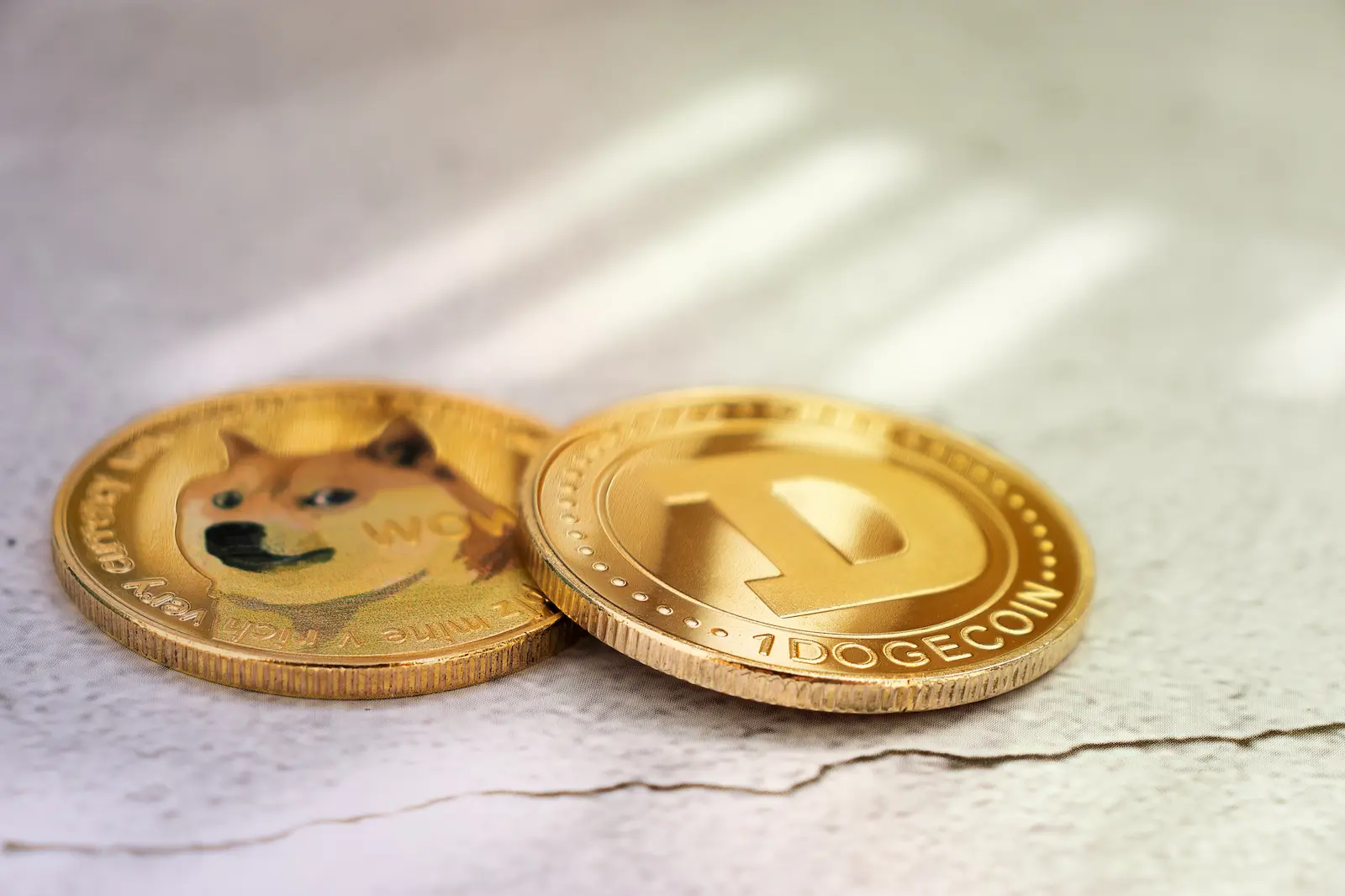 Floki Surges by 16% and Outperforms Dogecoin; Top Investors Picks for Next Bull Run Includes Celestia, and BorroeFinance
