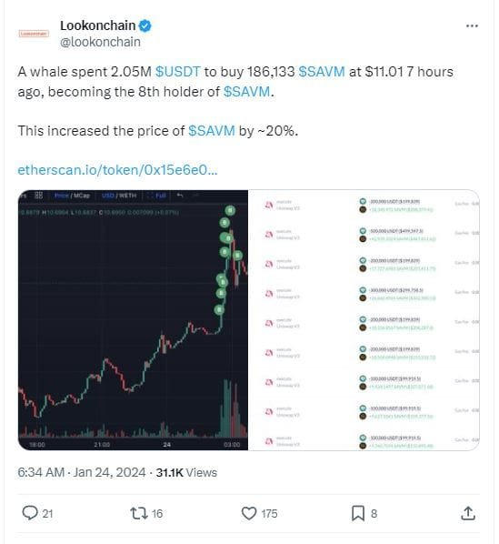 Suspicious SatoshiVM (SAVM) transaction. Source: 