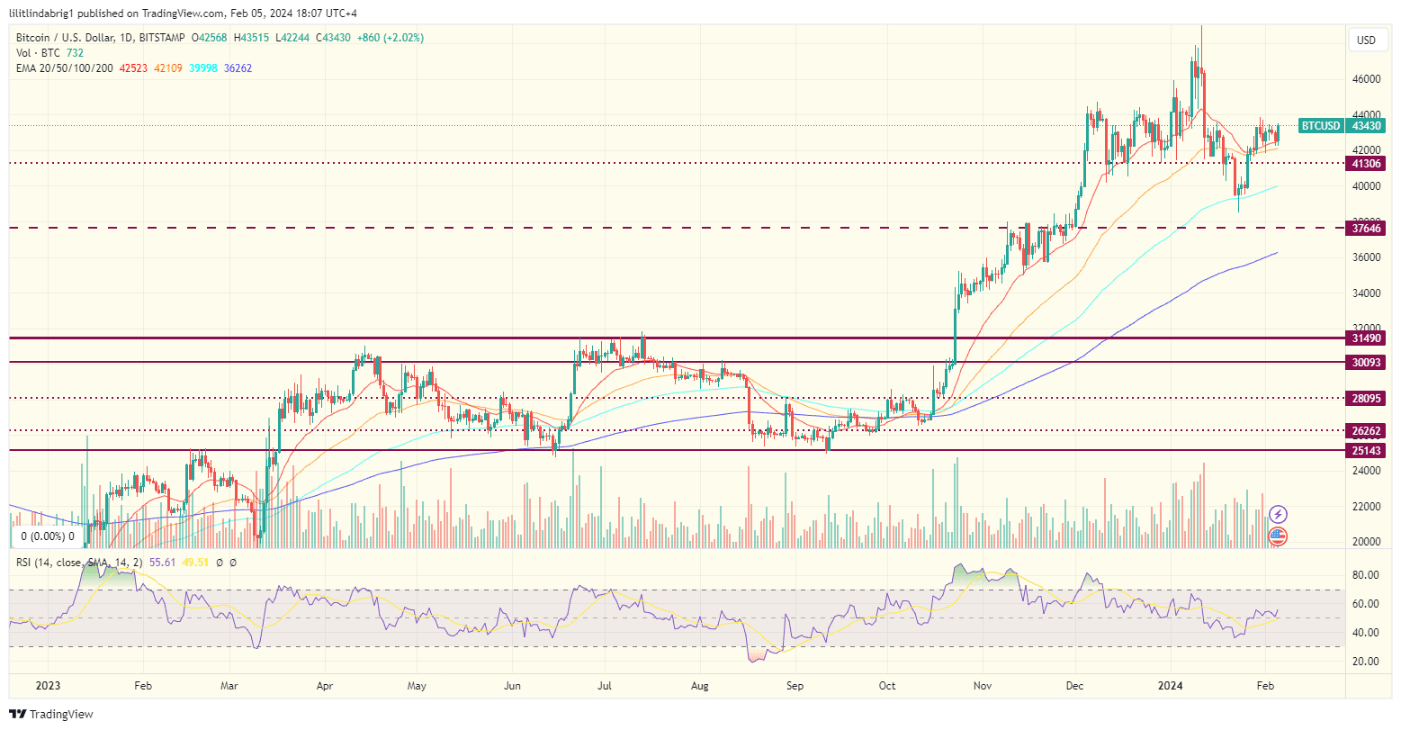 Trump Bitcoin price action. Source: