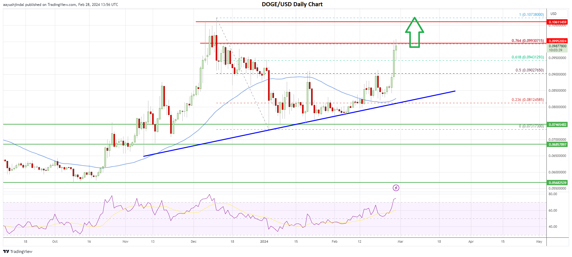 Dogecoin price daily chart | Source: DOGE/USD on TradingView.com