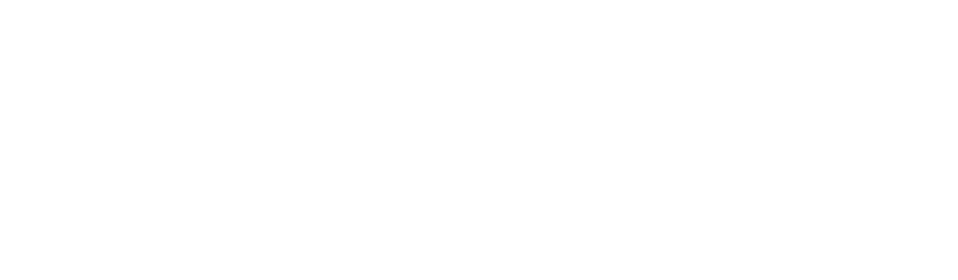 , Investormind&#8217;s Groundbreaking Algorithm: Shaping the Future of Investment Strategies