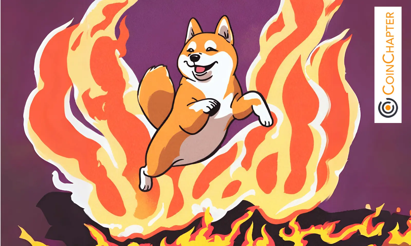 Altcoins Beat Bitcoin's Gains Doginphire