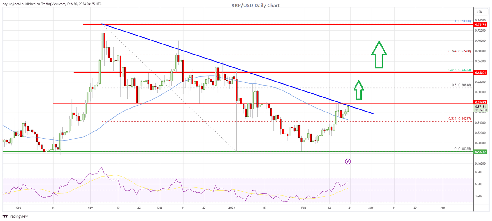 XRP price daily chart | Source: TradingView.com