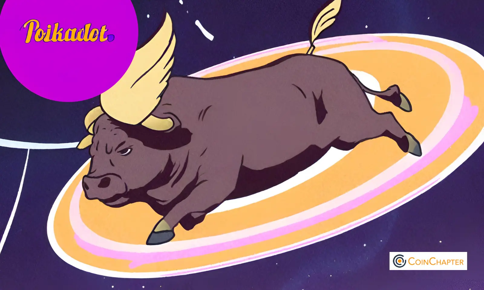 polkadot bulls