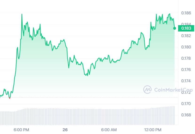 Dogecoin Price Could Crash, Dogecoin Price Could Crash 50% &#8211; 3 Reasons Why