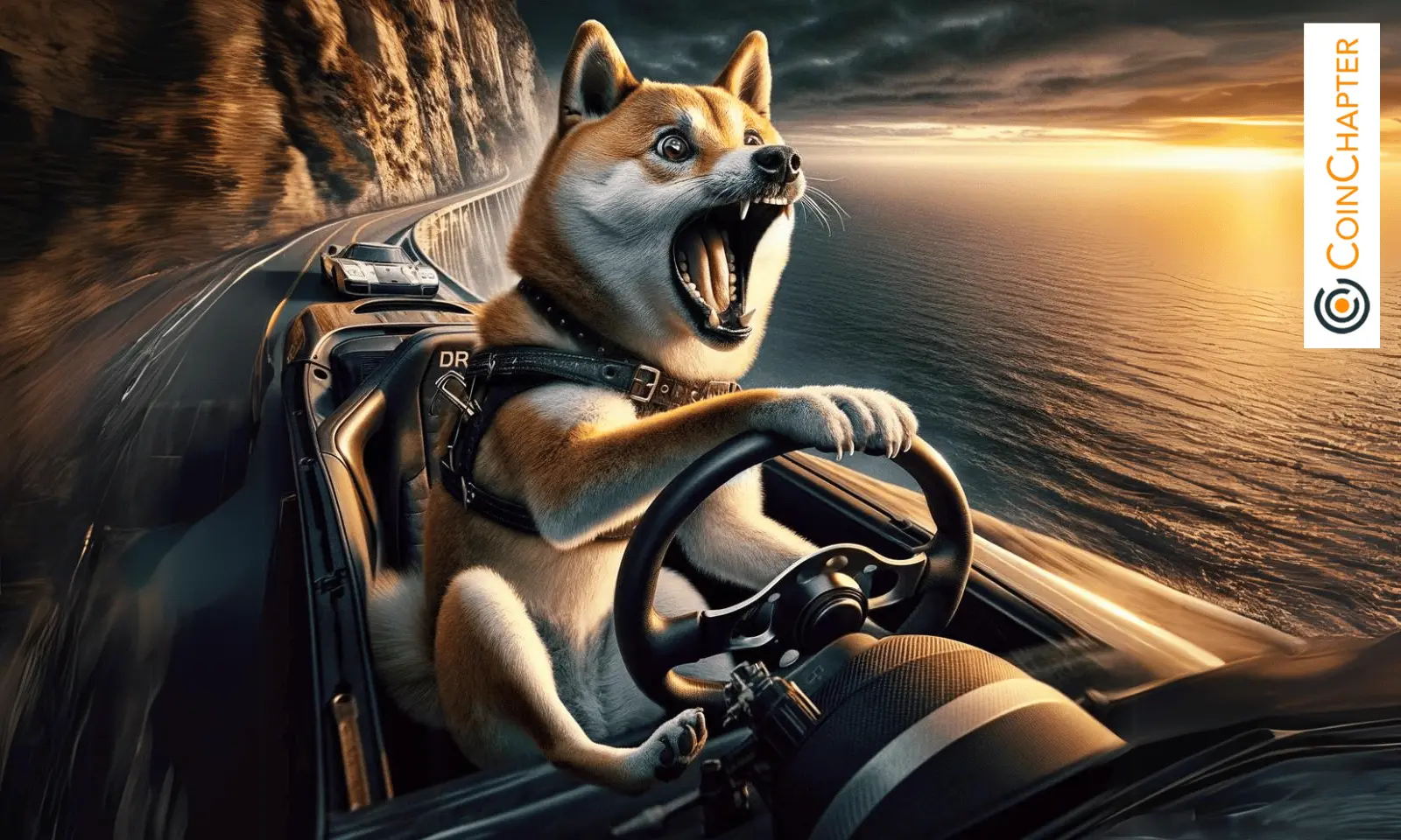 Dogecoin Price Could Crash