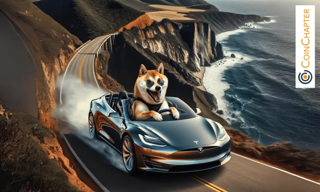 Dogecoin and Tesla